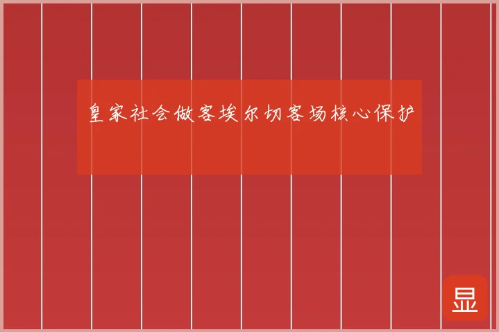 皇家社会做客埃尔切客场核心保护